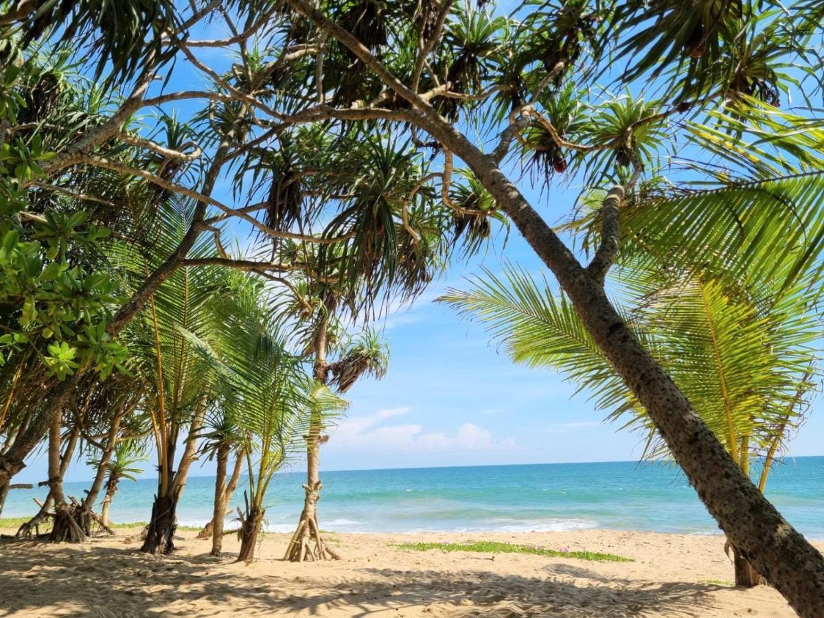 Golden Beach Paradise 坦加拉 外观 照片
