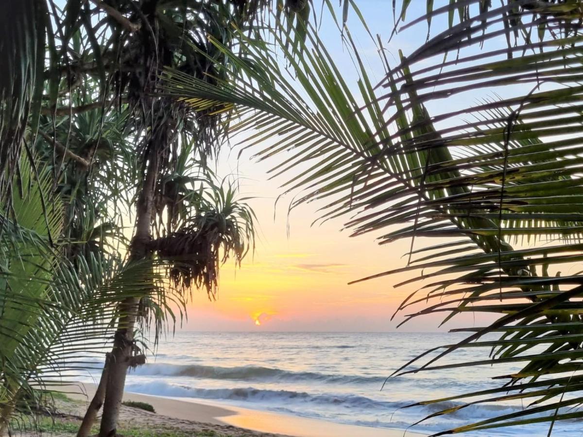 Golden Beach Paradise 坦加拉 外观 照片