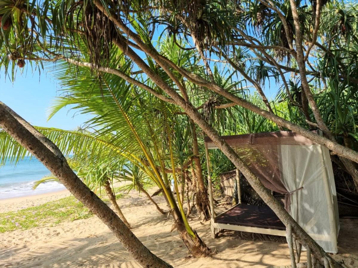 Golden Beach Paradise 坦加拉 外观 照片