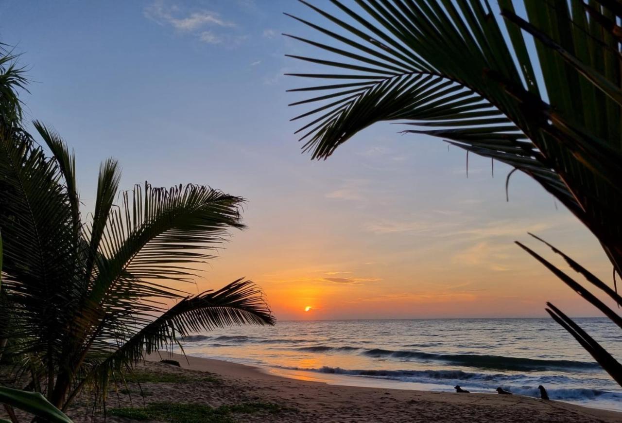 Golden Beach Paradise 坦加拉 外观 照片