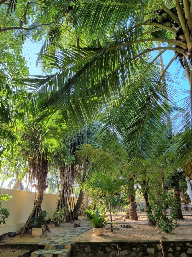 Golden Beach Paradise 坦加拉 外观 照片
