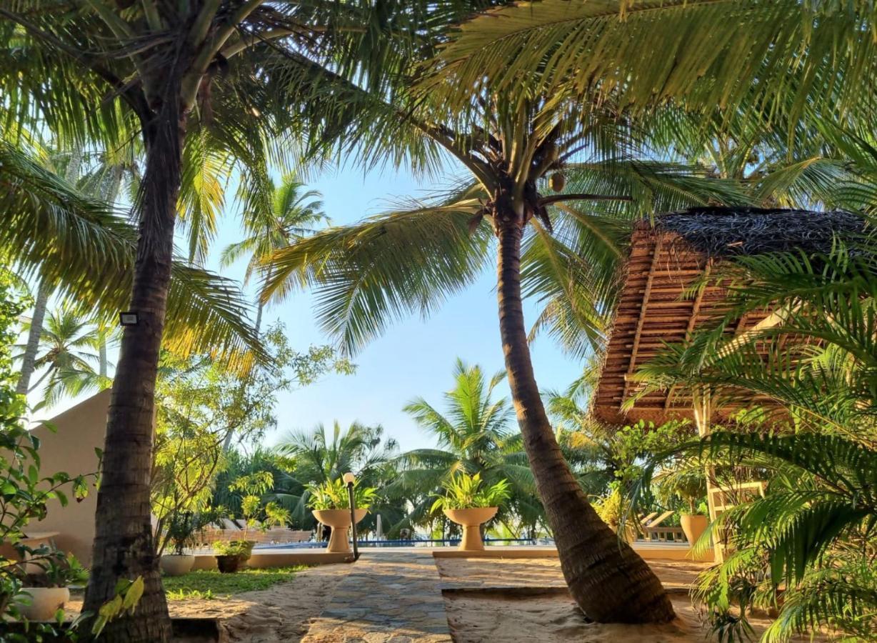 Golden Beach Paradise 坦加拉 外观 照片